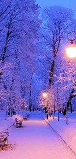 Snowy park at night with glowing streetlights and benches.