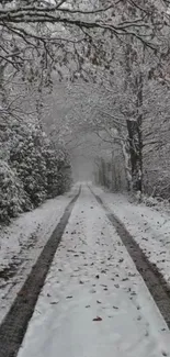 A tranquil snow-covered path through a winter forest.