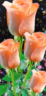 Mobile phone wallpaper with peach roses and a sparkling background.