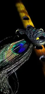 Vibrant peacock feather with a bamboo flute on black background.