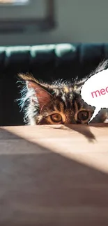 A curious cat peeks over a table, saying 'meooow', in a sunlit room.