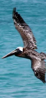 Pelican flying gracefully over turquoise ocean waters.