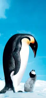 Penguin with chick on snow under a bright blue sky.