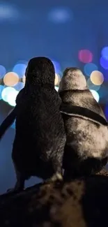 Two penguins enjoying colorful city lights.