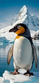 Majestic penguin stands on ice with a snowy mountain backdrop.