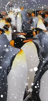 Penguins in snow with frosty background