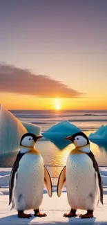 Two penguins on ice with a sunset background.