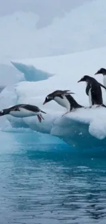 Penguins dive from an iceberg into icy blue waters.