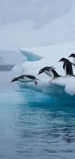 Penguins jumping from ice floe into blue ocean water.