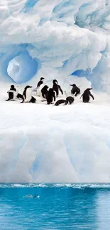 Penguin group on snow-covered iceberg in Antarctica.