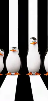 Cartoon penguins on black and white stripes.