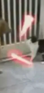 Cat and dog playing with lightsabers in a funny scene.