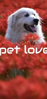 White dog amidst red flowers with 'pet love' text.