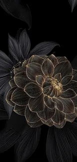 Petal Black Floral Design Live Wallpaper