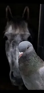 Pigeon with horse mobile wallpaper in dark tones.