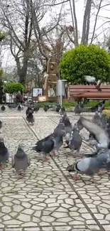 Flock of pigeons gathered in a serene park setting.