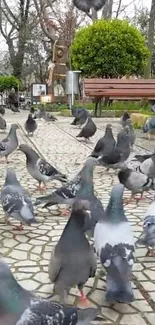 Pigeons gathered on a park path with greenery.