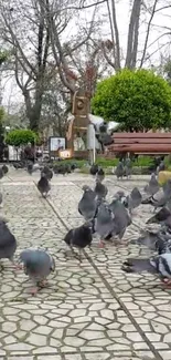 Pigeons gathered in a lush, green park with benches and trees in the background.