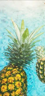 Two pineapples floating in a bright blue pool, creating a tropical vibe.