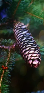 Serene wallpaper of pinecone with green branches.