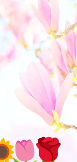 Close-up of pink flowers in full bloom.