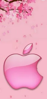 Pink Apple logo with cherry blossoms mobile wallpaper.