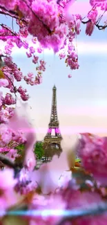 Eiffel Tower framed by pink cherry blossoms, set against a serene sky.