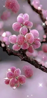 Pink flower blossoms on a branch with a soft background.