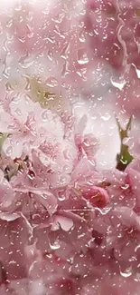 Pink blossoms with raindrops on a mobile screen wallpaper.