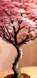 Serene pink blossom tree with intricate branches.