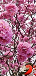 Pink blossom trees with a red bird perched among them.