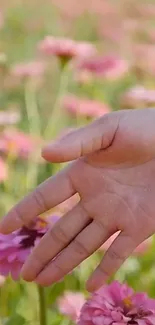 Hand touching pink flowers in a garden scene.