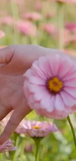 Hand reaching through vibrant pink blossoms in a green field.