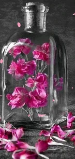 Vibrant pink flowers enclosed in a glass bottle against a dark textured background.