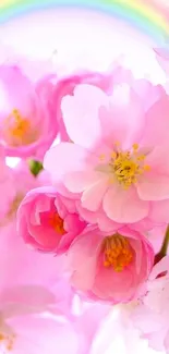 Pink blossoms with a pastel rainbow background in a mobile wallpaper.