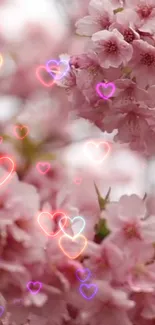 Pink cherry blossoms and glowing heart lights.