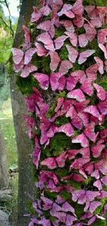 Cluster of pink butterflies on a tree trunk in nature.