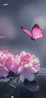 Pink butterfly flying over blooming pink flowers with a blurred background.