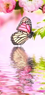 Pink butterfly and flowers with water reflection.