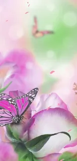 Pink butterfly and floral design with green and pink background.