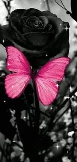 A vibrant pink butterfly sits gracefully on a dark rose, surrounded by monochrome branches.