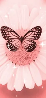 Pink butterfly sits on a daisy flower, creating a serene, elegant look.