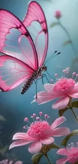 Pink butterfly perched on pink flowers with a blue background.