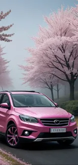 Pink car on a cherry blossom-lined road in spring.