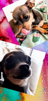 Pink Carnivore Dog Live Wallpaper