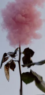 Delicate pink cloud resembling a flower against a soft sky backdrop.