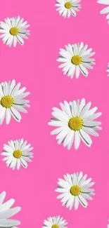 Vibrant pink wallpaper with white daisies pattern.