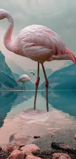 A pink flamingo standing in a picturesque lake surrounded by mountains.