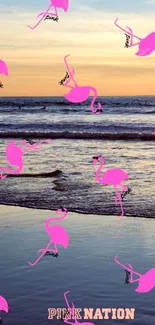 Pink flamingos on a beach at sunset.