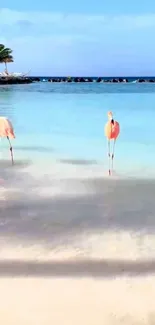 Pink flamingos standing on a sunny beach with blue ocean.